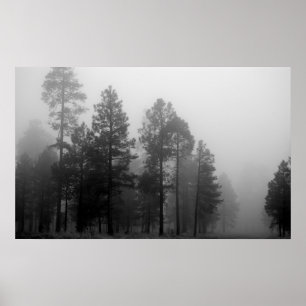 Arizona Fog Poster