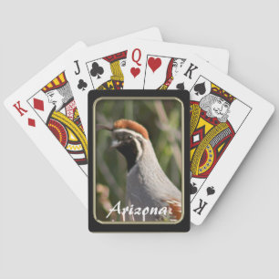 Arizona Gambels röstkort Spelkort