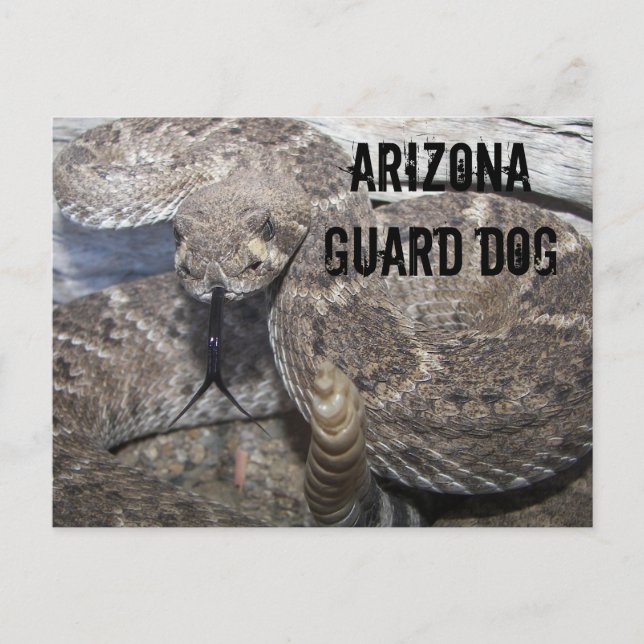 Arizona Guard Hund Vykort (Framsida)