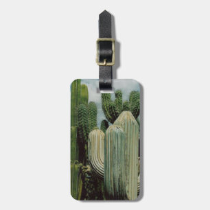 Arizona kaktus bagagebricka