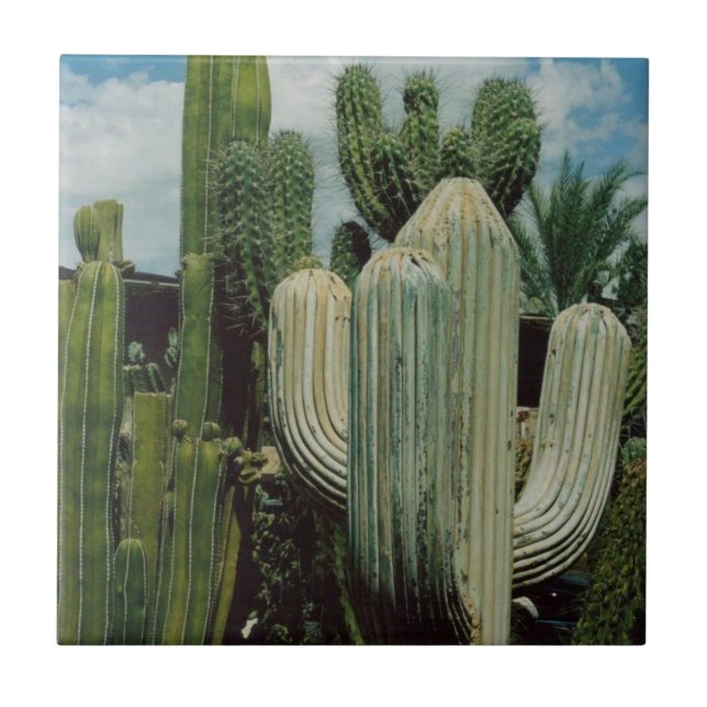 Arizona kaktus kakelplatta (Framsidan)
