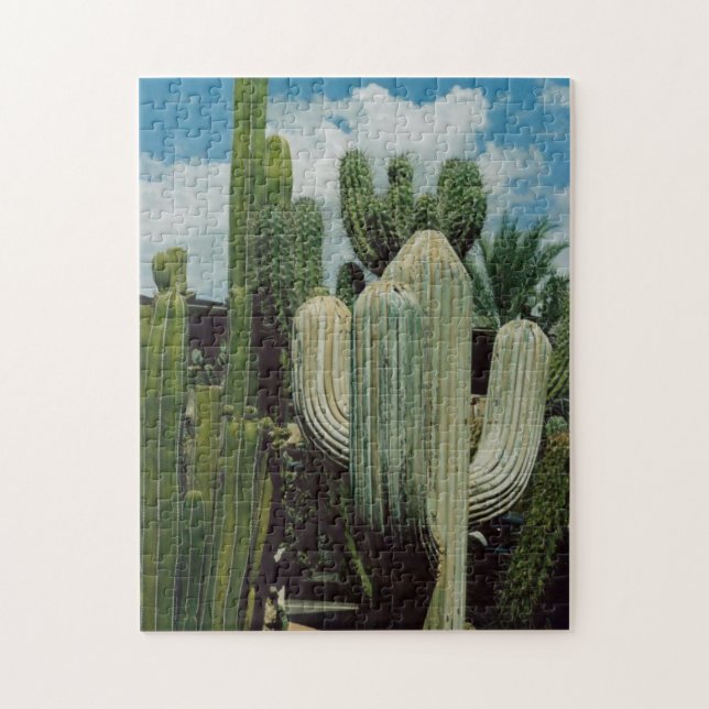 Arizona kaktus pussel (Vertikal)