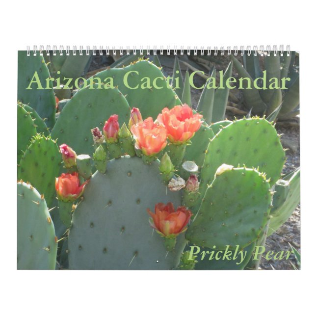 Arizona kaktuskalender kalender (Omslag)