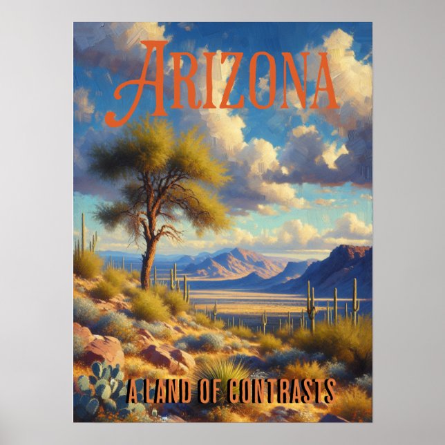 Arizona Land Contrasts liggande Poster (Framsidan)