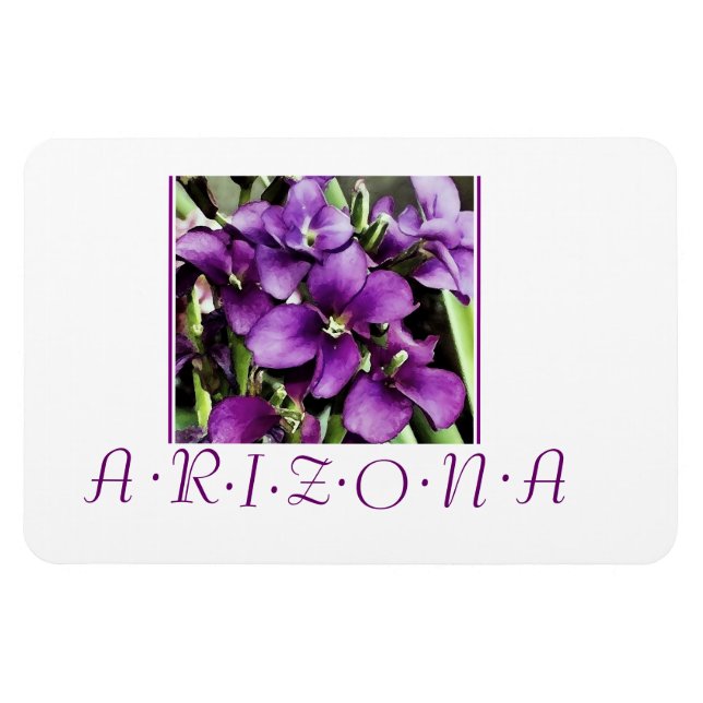 Arizona lila blommor magnet (Horisontell)