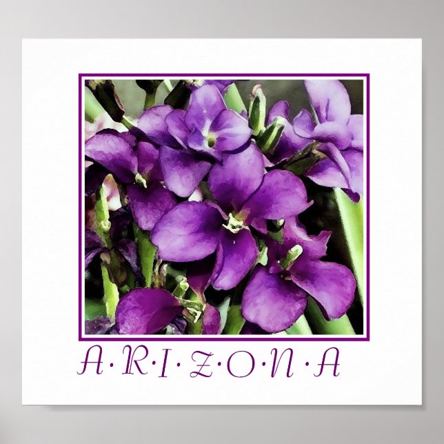 Arizona lila blommor tryck (Framsidan)