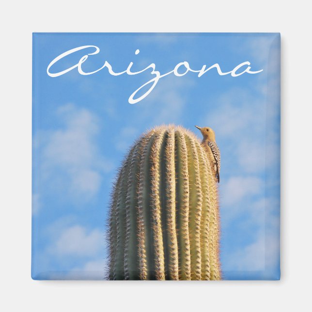 Arizona Magnet (Framsidan)