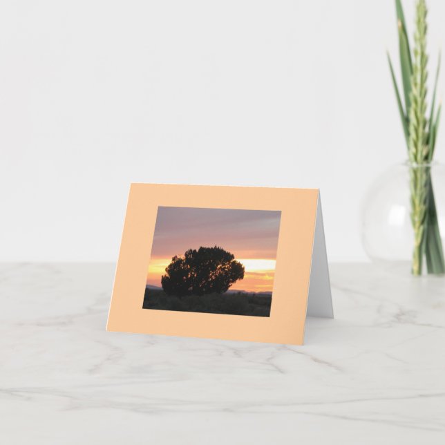 Arizona målade ökensolnedgångfotoet noterar kort (Framsida)