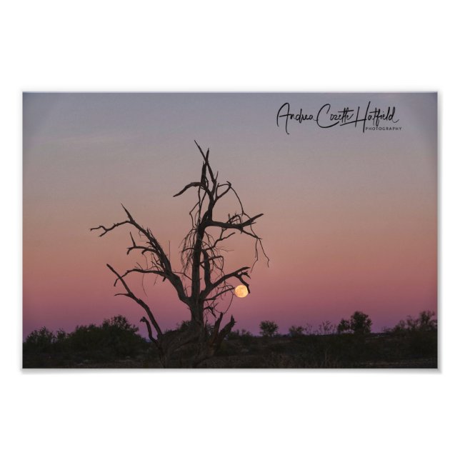 Arizona Måne Fototryck (Framsidan)