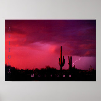 Arizona MonSnart Poster