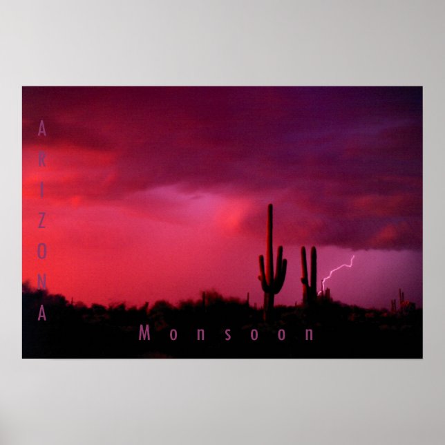 Arizona MonSnart Poster (Framsidan)