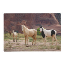 Arizona, Navajo Indian Reservation, Chinle,