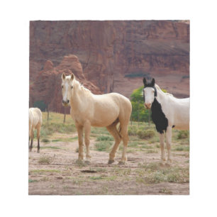 Arizona, Navajo Indian Reservation, Chinle, Anteckningsblock