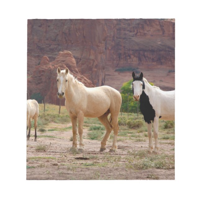 Arizona, Navajo Indian Reservation, Chinle, Anteckningsblock (Framsida)