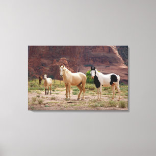 Arizona, Navajo Indian Reservation, Chinle, Canvastryck
