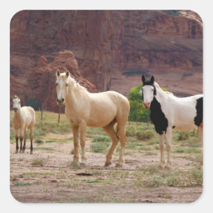 Arizona, Navajo Indian Reservation, Chinle, Fyrkantigt Klistermärke