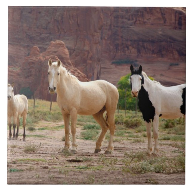 Arizona, Navajo Indian Reservation, Chinle Kakelplatta (Framsidan)