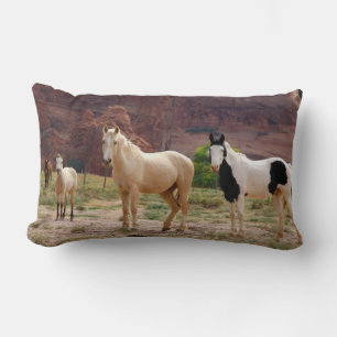 Arizona, Navajo Indian Reservation, Chinle, Lumbarkudde