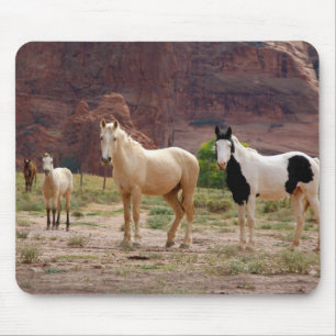 Arizona, Navajo Indian Reservation, Chinle, Musmatta