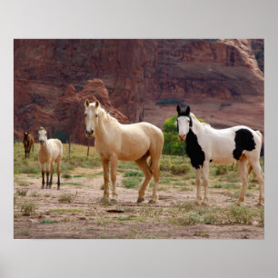Arizona, Navajo Indian Reservation, Chinle Poster