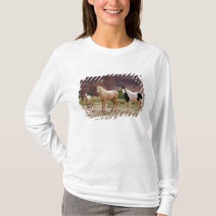 Arizona, Navajo Indian Reservation, Chinle, T Shirt