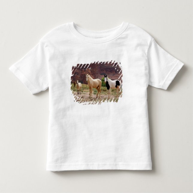 Arizona, Navajo Indian Reservation, Chinle T Shirt (Framsida)