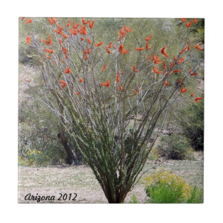 Arizona Ocotillo Kakelplatta