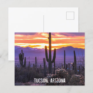 Arizona ökencactus solnedgång naturfoto souvenir vykort
