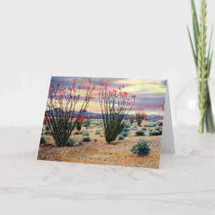 Arizona ökenOcotillos i blom Kort