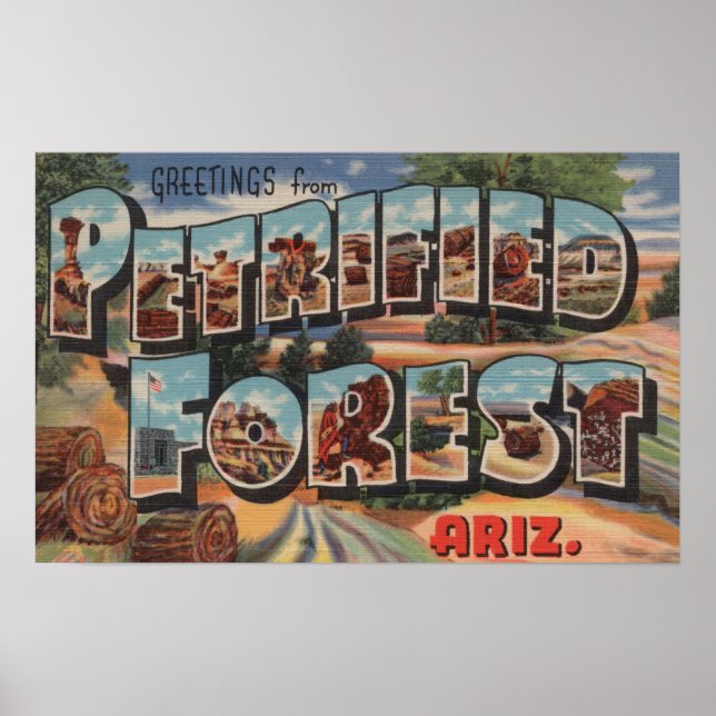 Arizona - Petrified Forest - Large Brev Poster (Framsidan)