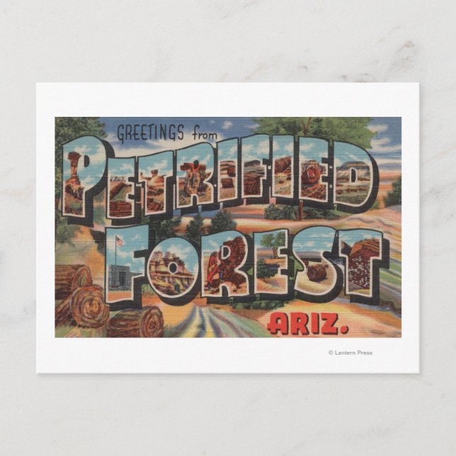 Arizona - Petrified Forest - Large Brev Vykort (Framsida)