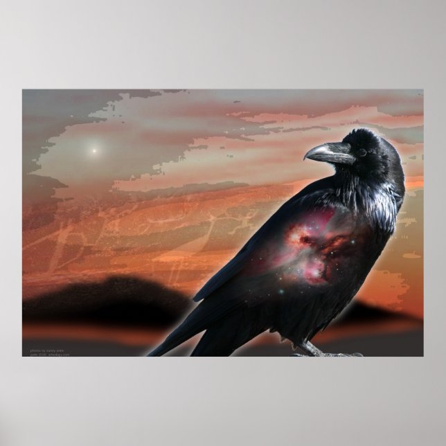 Arizona Raven Poster (Framsidan)