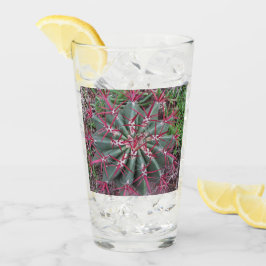 Arizona Red Barrel Cactus Close Photograph Glaskopp
