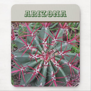 Arizona Red Barrel Cactus Desert Plant Southwest Musmatta