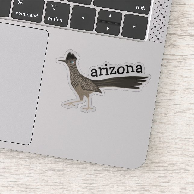 ARIZONA Roadrunner Bird Färgpenna Art Klistermärken (Detalj)