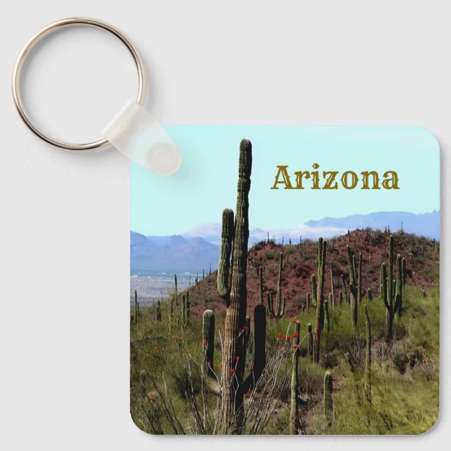 Arizona saguaro bergslandschaft  nyckelring (Framsida)