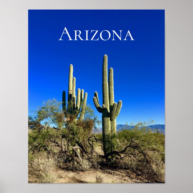 Arizona Saguaro Cactus Desert Poster (Framsidan)