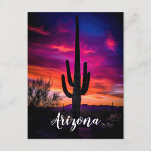 Arizona Saguaro Cactus Southwest Desert Sunset Vykort