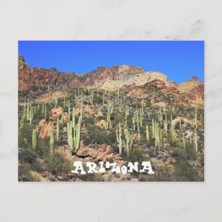 Arizona Saguaro Cactus vykort