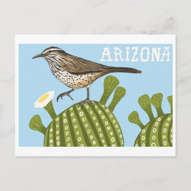 Arizona Saguaro Cactus Wren teckning Vykort (Framsida)