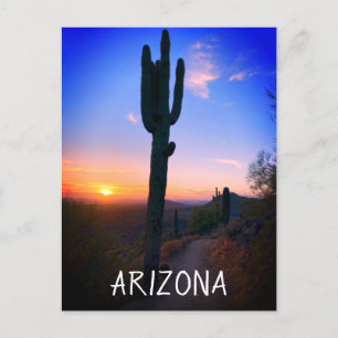 Arizona Saguaro Kaktus Solnedgång Souvenir Resa Vykort