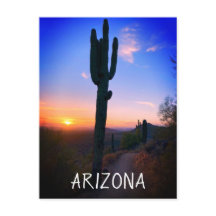 Arizona Saguaro Kaktus Solnedgång Souvenir Resa