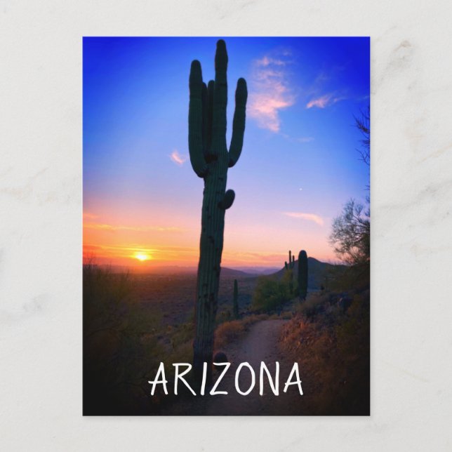 Arizona Saguaro Kaktus Solnedgång Souvenir Resa Vykort (Framsida)