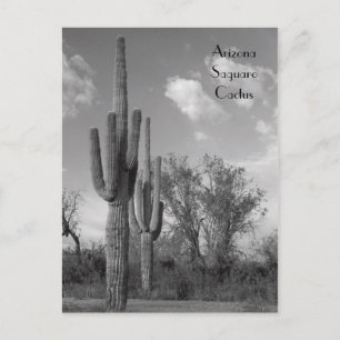 Arizona Saguaro-vykort Vykort