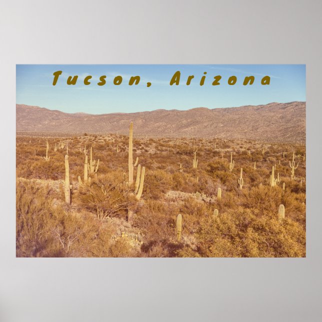 Arizona Saguaros Poster (Framsidan)