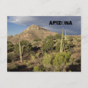 Arizona Scenia vykort