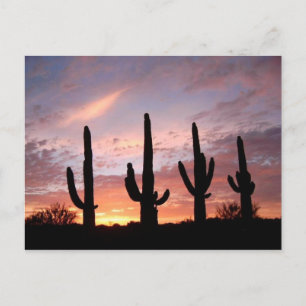 "Arizona Show" Vykort