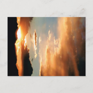 "Arizona Show" Vykort