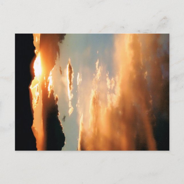 "Arizona Show" Vykort (Framsida)