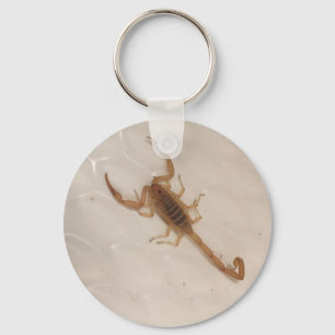 Arizona skällScorpion Nyckelring